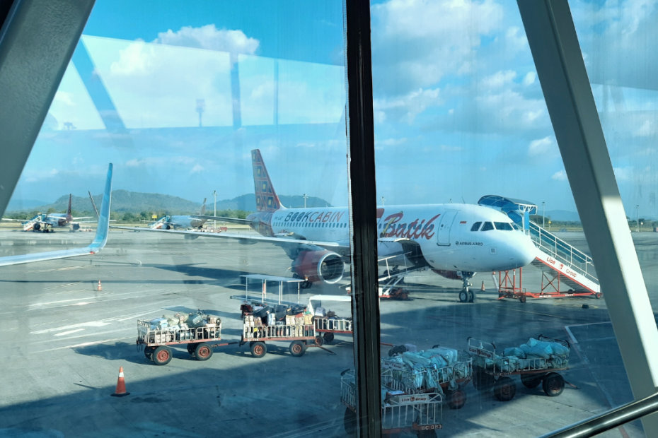 Airline Fuel Savings from Weight-Loss Drugs